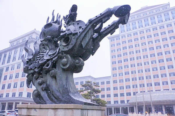 深度｜继续瘦身 大家保险的抉择
